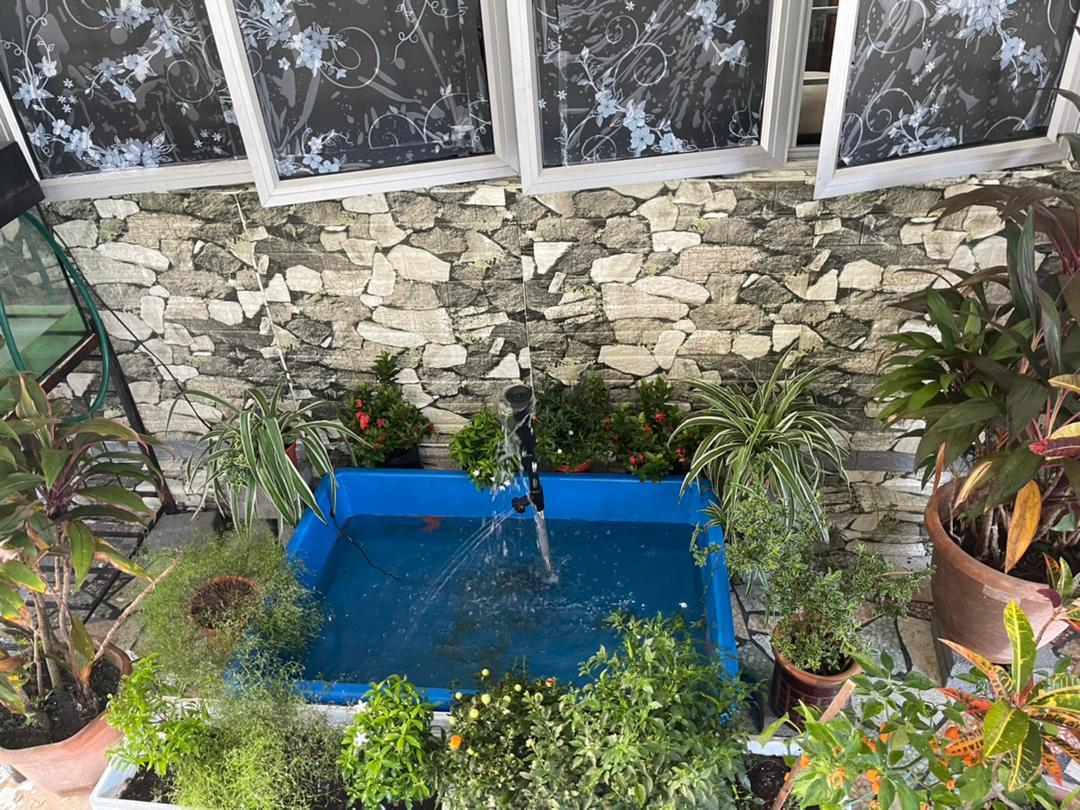 Garden courtyard
